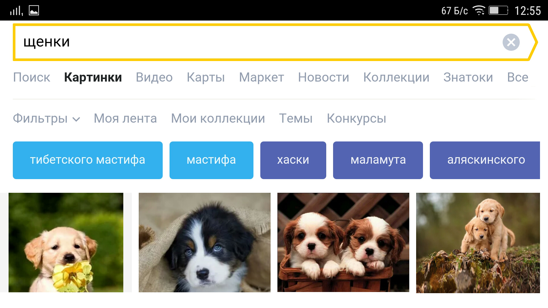 Поиск картинок на смартфоне в Яндекс